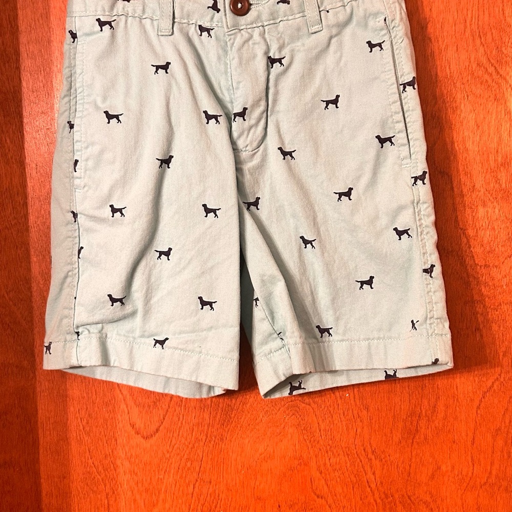 Boys Mint Green Pointer Patterned Shorts